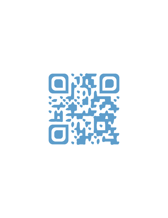 Su Carta QR estándar